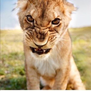 Meet your Posher, Isidro